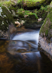 Die Kalte Bode im Harz