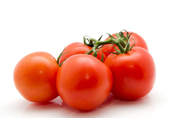 tomatoes