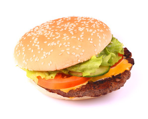 Tasty sandwich on white