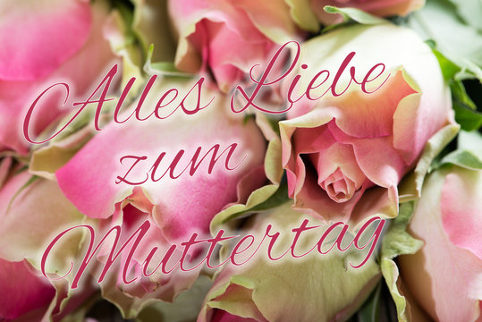 Alles Liebe Zum Muttertag" Bilder – Durchsuchen 556 Archivfotos,  Vektorgrafiken und Videos | Adobe Stock