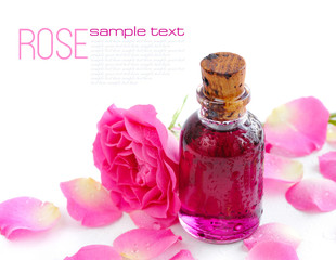 Obraz na płótnie Canvas Bottle of essential oil and pink rose isolated on white