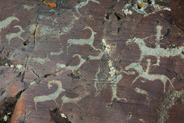 Rock paintings
