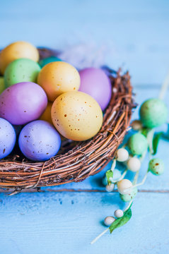Easter eggs in the nest on blue wooden background