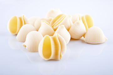 Large pasta shells on white