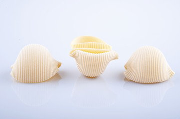 Large pasta shells on white