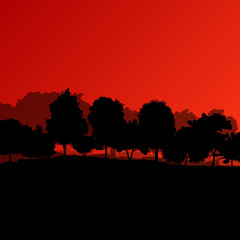 Fototapeta na wymiar Forest trees silhouettes natural wild landscape detailed illustr