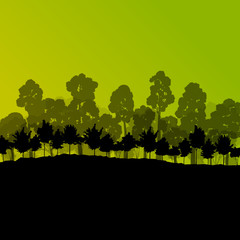 Forest trees silhouettes natural wild landscape detailed illustr