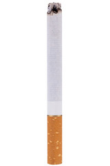 Brennende Zigarette mit Asche als Nahaufnahme isoliert