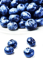 Blueberries on white plate isolated on white background with cop