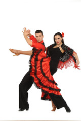Fototapeta premium beautiful couple in the active ballroom dance