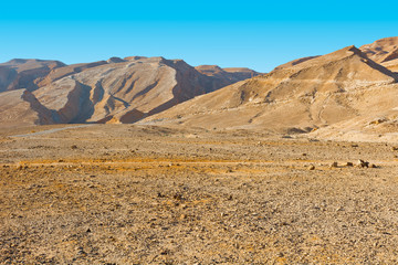 Negev Desert