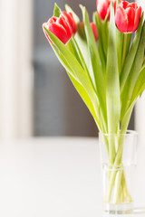 tulips bouquet in glass copy space vertical