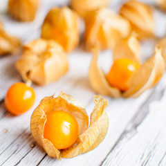 physalis