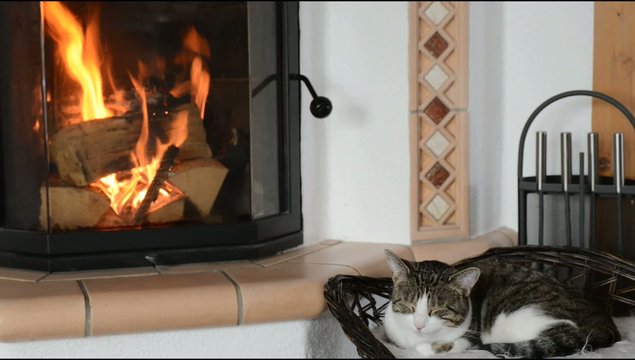 gem&uuml;tlich