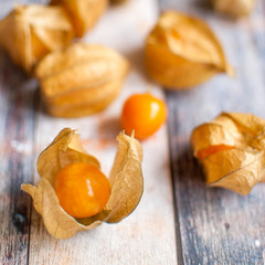 physalis