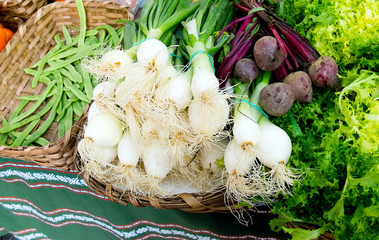 Green beans, beet, scallion and endive