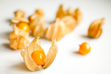 physalis