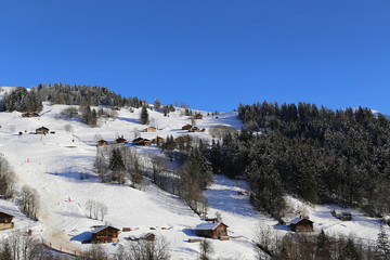 Grand Bornand - Montagne