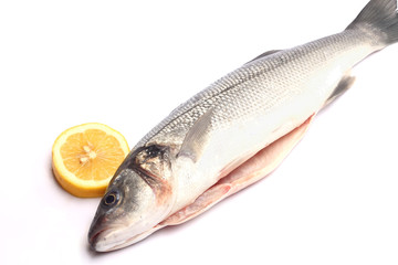 Sea bass isolated on white background with lemon