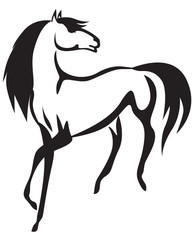 Horse drawing