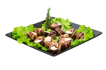 Escargot