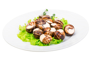 Escargot