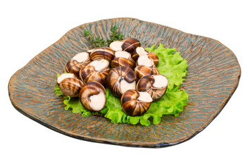 Escargot