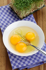 Rohe Eier in Schale und Kresse