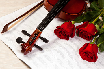 Fototapeta premium Red roses and a violin