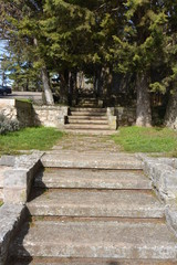 Escaleras de piedra bajo arboles