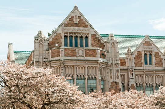 College Campus Building Blossoms Cherry Trees