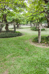 Landscape of Garden with a Freshly Mown Lawn
