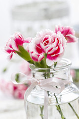 Pink carnation flower in glass vase