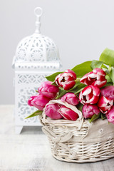 Basket of beautiful pink tulips on white background. Copy space