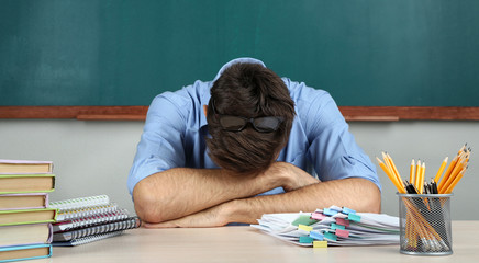 Young teacher sitting in school classroom