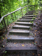 wooden steps