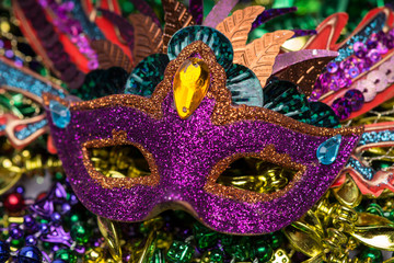 Mardi Gras Mask