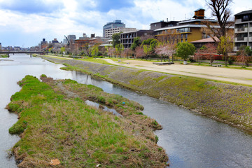 Fototapeta na wymiar Kamo river in Kyoto