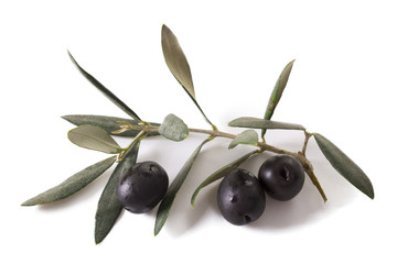 olives with background
