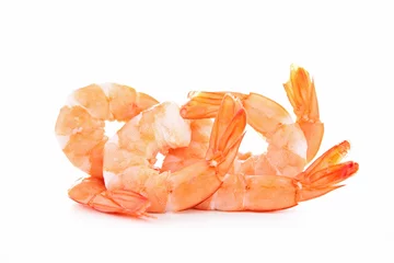 Crédence de cuisine en verre imprimé Crustacés shrimp isolated