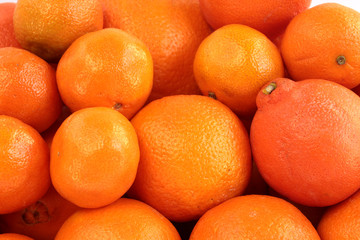 Pomarańcze i mandarynki - obrazy, fototapety, plakaty