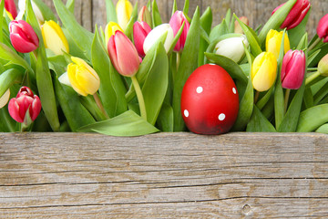 Gepunktetes Osterei und Tulpen