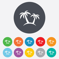 Palm Tree sign icon. Travel trip symbol.