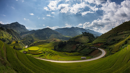 Reisfeld bei Mu Cang Chai, Provinz Yenbai, Vietnam