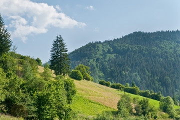 Obraz premium Summer mountain landscape