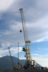 Fototapeta premium Cranes in a harbor - Brazil