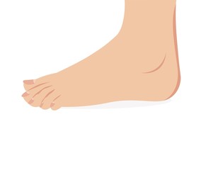 vector of female foot standing  human foot