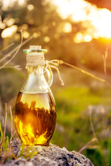 Little bottle with olive oil with lens flare and sun light
