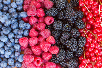 rows of  fresh berries on table
