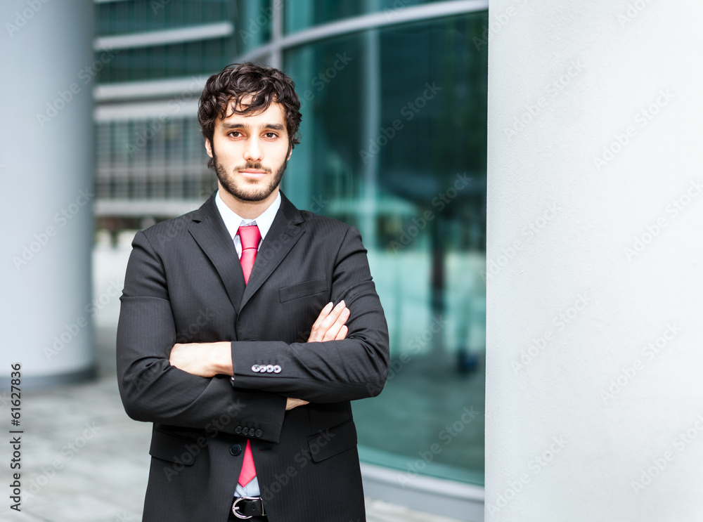 Wall mural businessman portrait